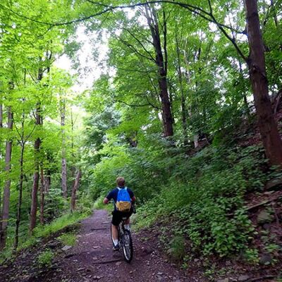 Back Mountain Trail image