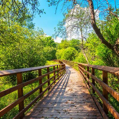 Trolley Trail – Clarks Summit to Dalton image