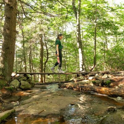 Natural Lands’ Bear Creek Preserve image