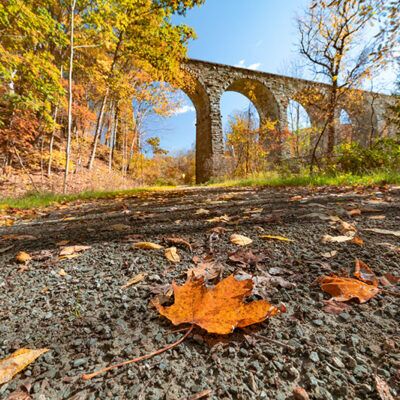 D&H Rail-Trail image