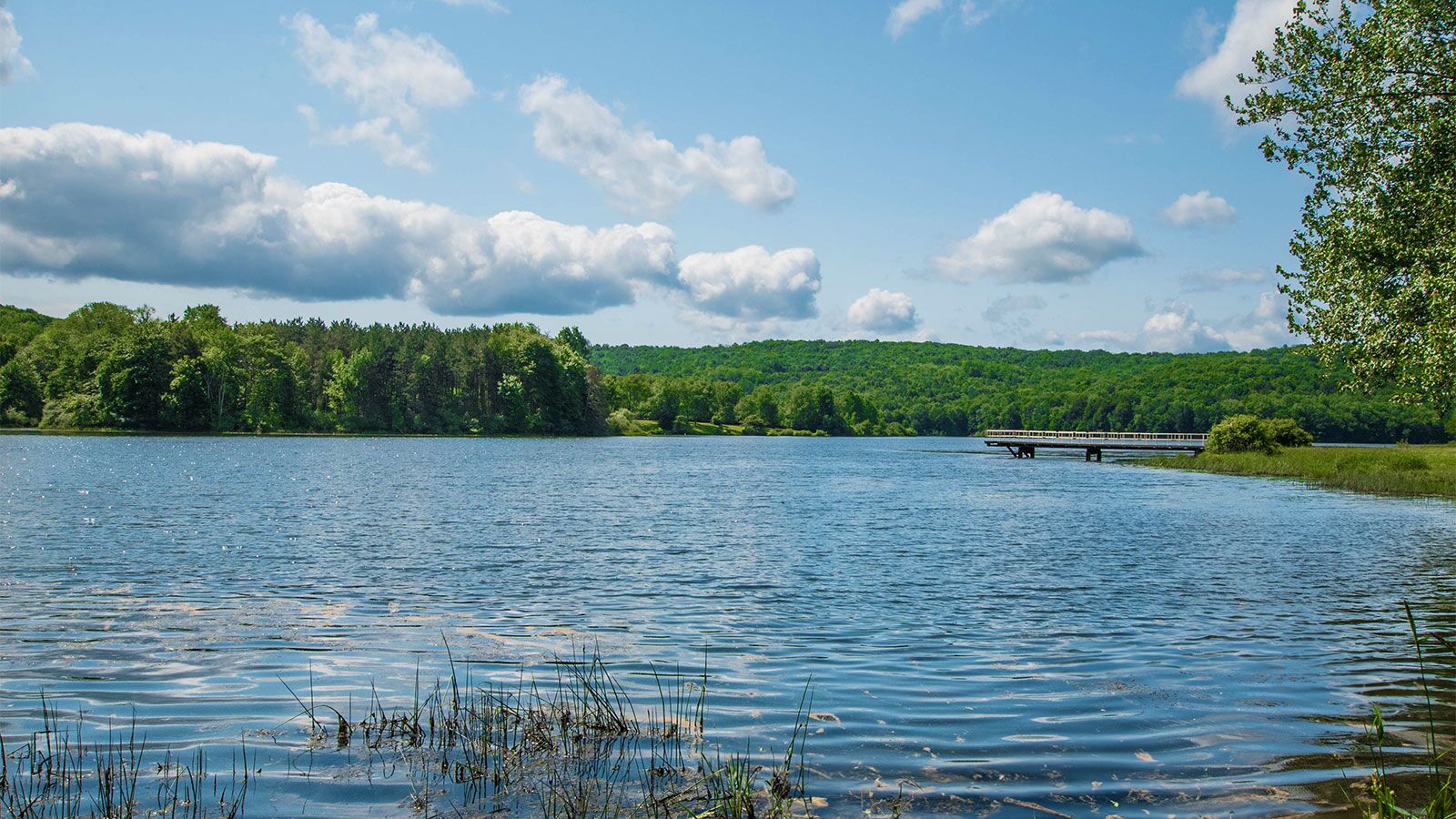 Things to See & Do at Lackawanna State Park image